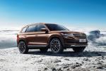 Skoda Kodiaq 2017 года (CN)